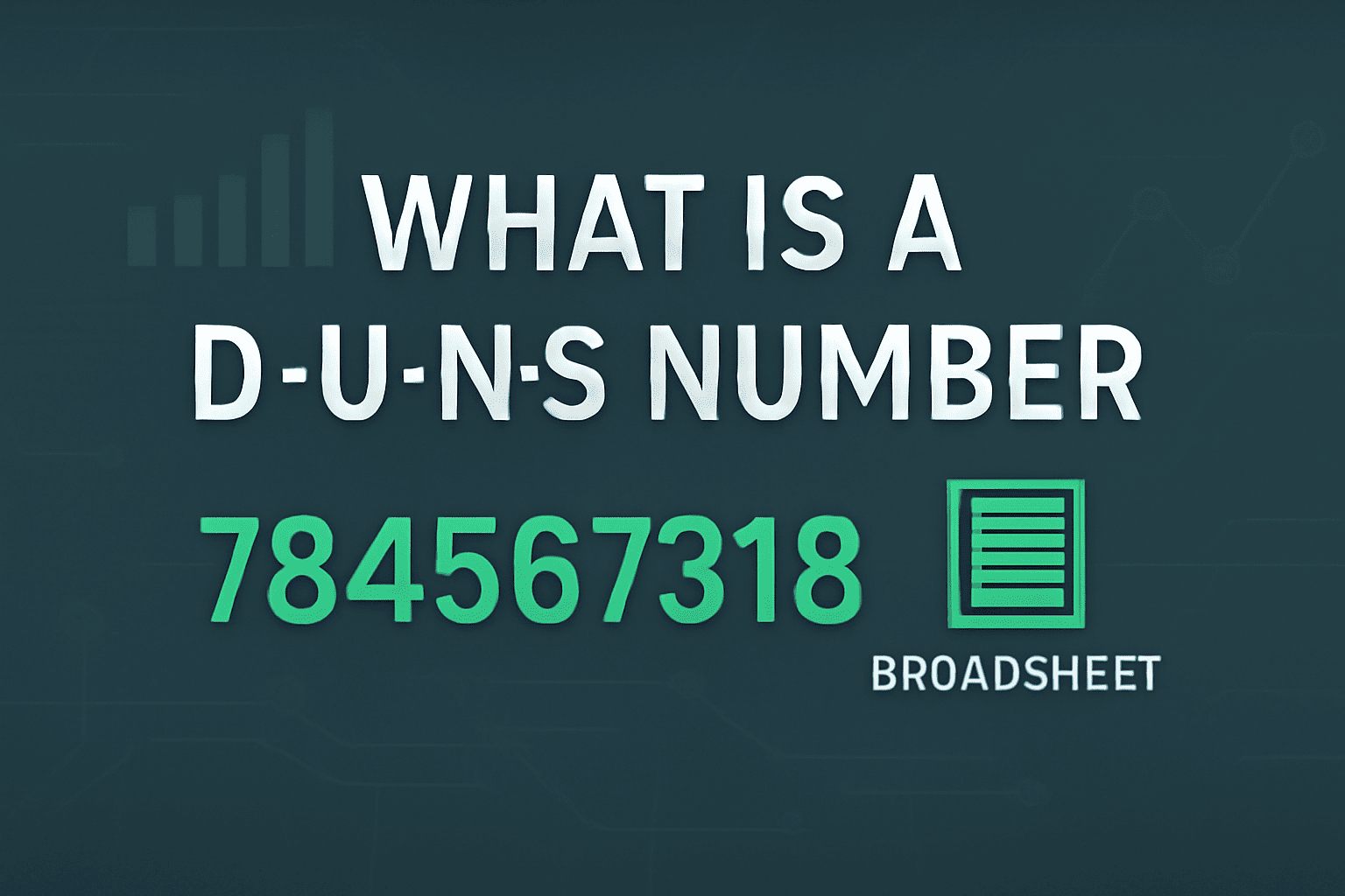 What is DUNS Number